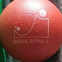 birdie_bernd_3.jpg