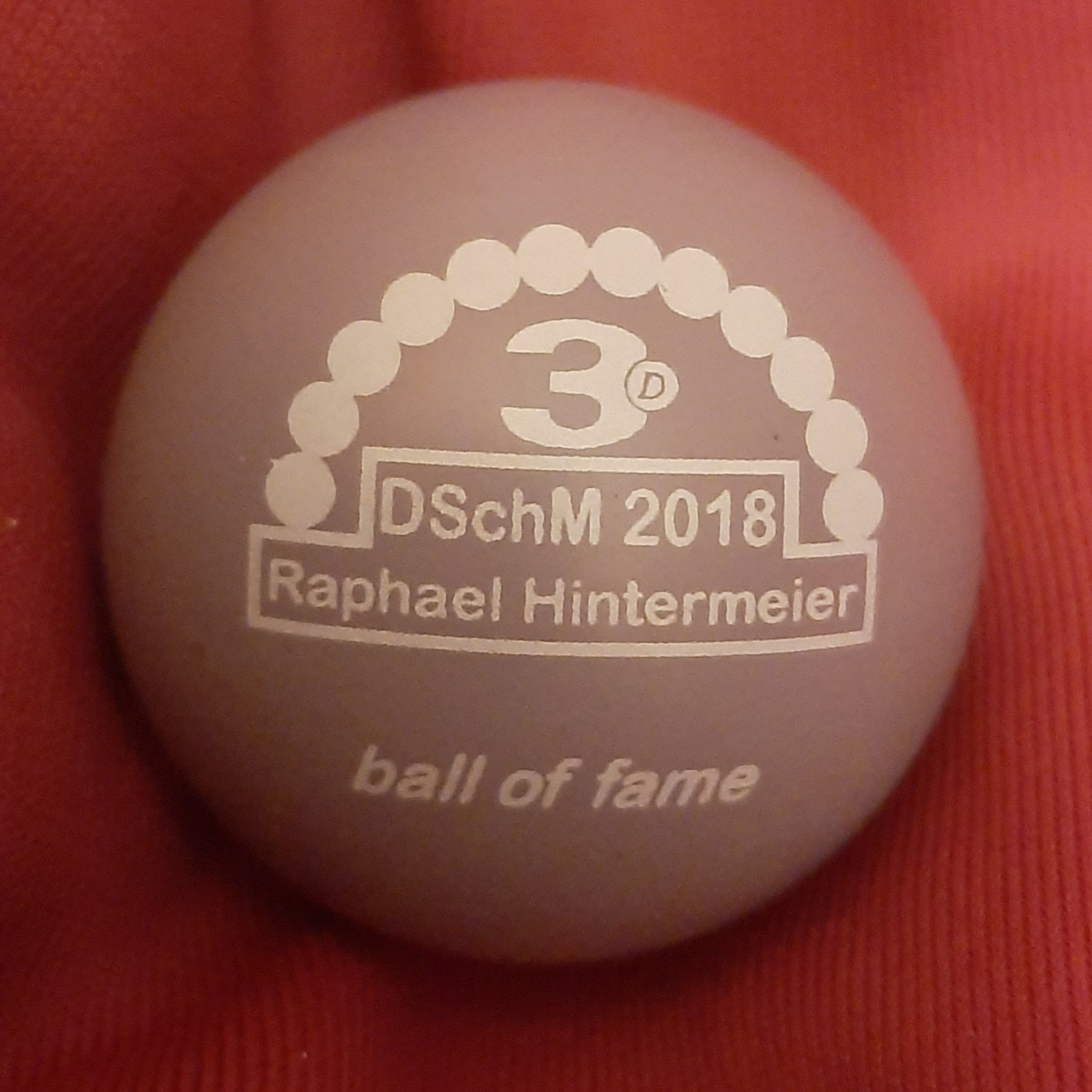 dschm_2018_raphael_hintermeier_ball_of_fame.jpg