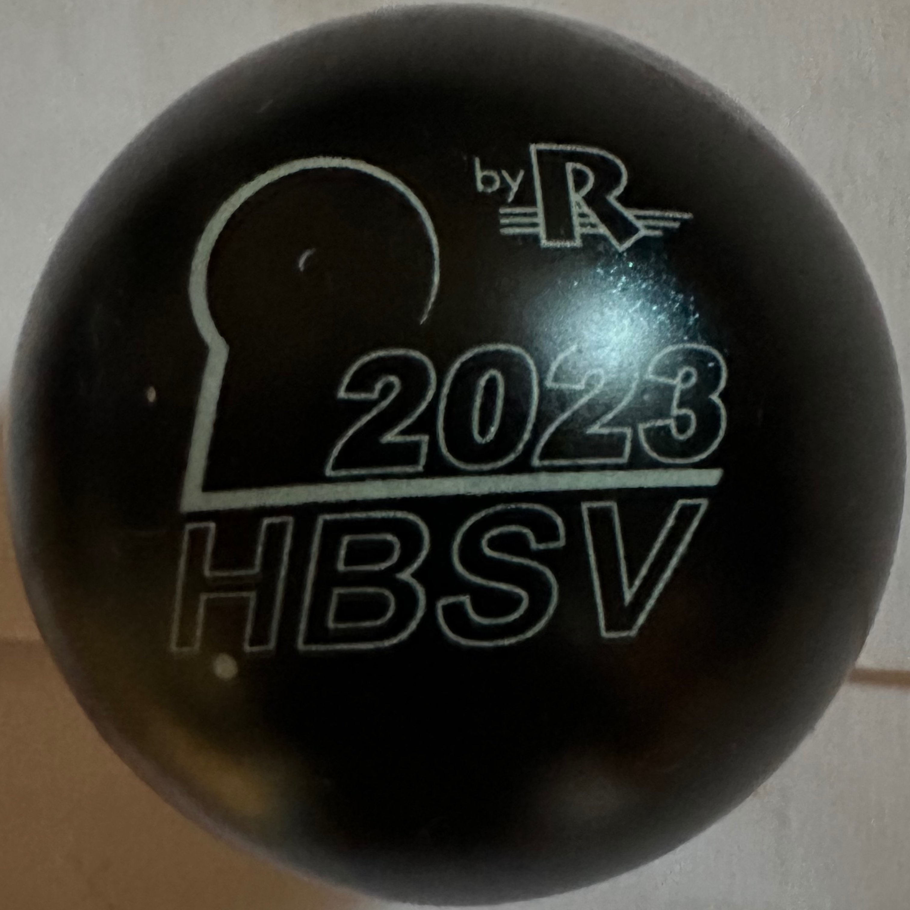 hbsv_2023.jpg